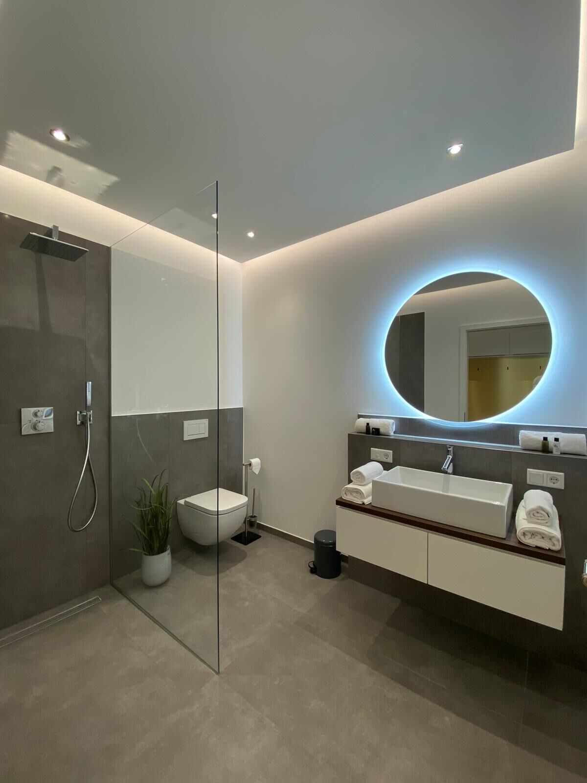 Une salle de bain moderne avec une douche à parois de verre, des toilettes, un lavabo avec un miroir et une plante en pot.