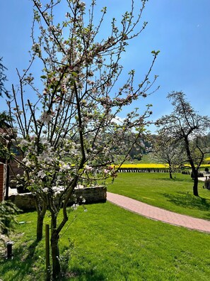 Exterior - LandGut & Residenz Driehof  (Tecklenburg)