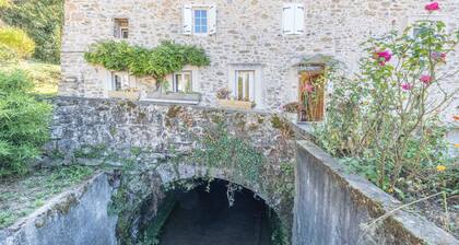 Gite du Moulin Ariège in Carla-de-Roquefort with Mountain View, Private Garden & AC