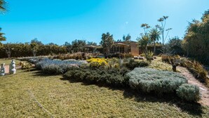 A landscaped garden with a variety of plants and a building in the background. - SUITE OASIS, 1 bed/1 bath, heated pool (Tamazouzte, Marrakesh-Saf)