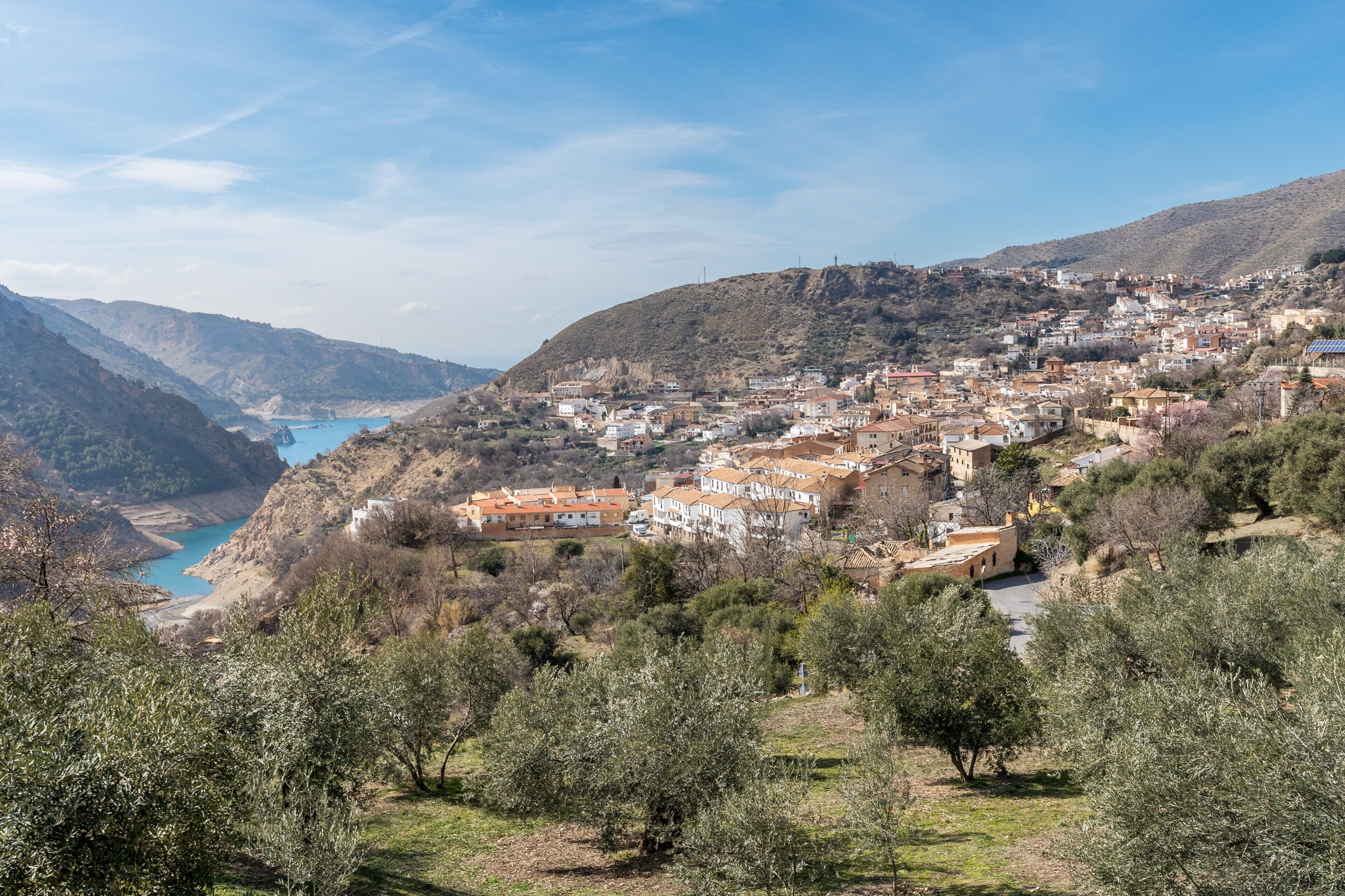 A hillside town with buildings, a river, and olive trees.