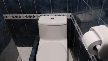 Serviettes fournies, savon, papier toilette