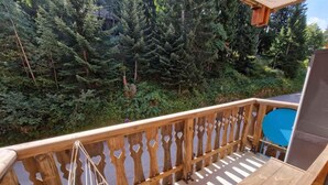 A wooden deck with a metal railing, a blue chair, and a telescope.