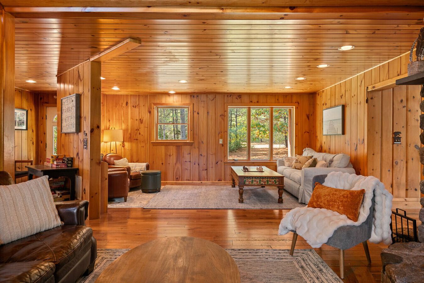 TV, fireplace, video games, books