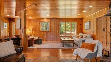 Televisor, llar de foc, videojocs i llibres