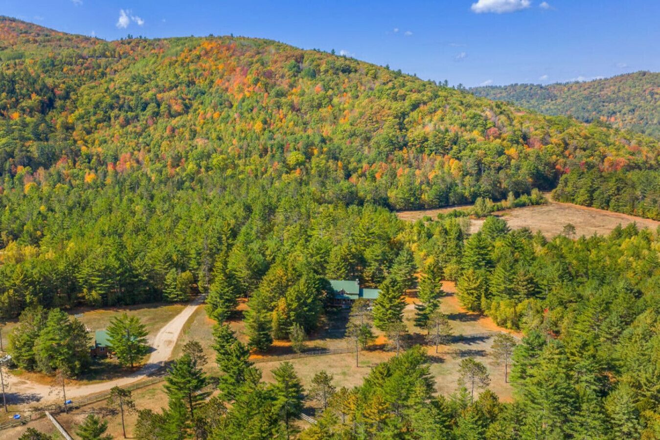 A forested area with a small building, a dirt path, and a clear sky.