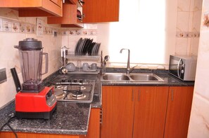 Familie appartement, balkon, uitzicht op stad | Gemeenschappelijke keuken | Een koelkast, een magnetron, een oven, een kookplaat