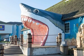 Unclassified image, 3 of 36, button - Egyptian 2-story Beach Villa (Ocean Shores)