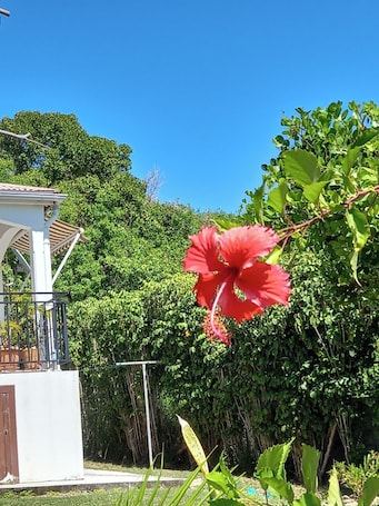 施設の敷地. Country bungalow with sea view