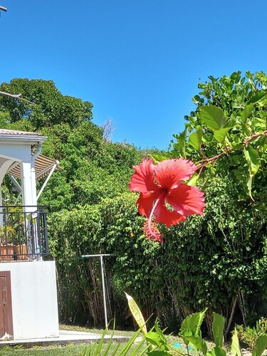 Country bungalow with sea view