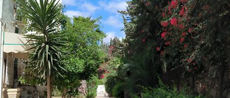 Áreas de la propiedad