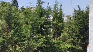 A view of a hedge, a paved path, and a clear blue sky. - Yasmine Hammamet | Appartement calm and elegant (Yasmine Hammamet)