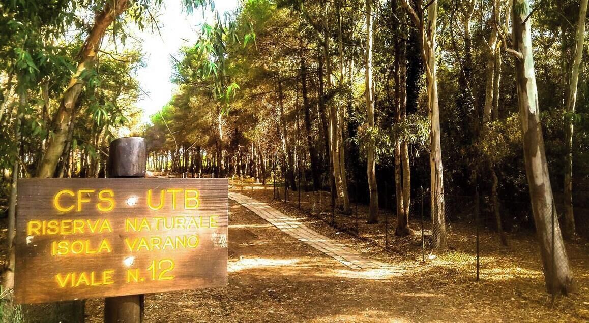 A sign in a forested area with a pathway.