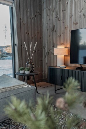 Living room - Ski Centre, Sauna, hot tub (Nes)