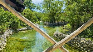 Een helder uitzicht op een rivier met een houten brugstructuur op de voorgrond, omgeven door weelderige begroeiing en bomen.