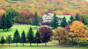 A house with a green roof surrounded by trees in various autumn colors. - Wanderlust A Frame - Lake/ Beach/ Golf/ Pool/ Trails in Alpine Lake (Terra Alta)