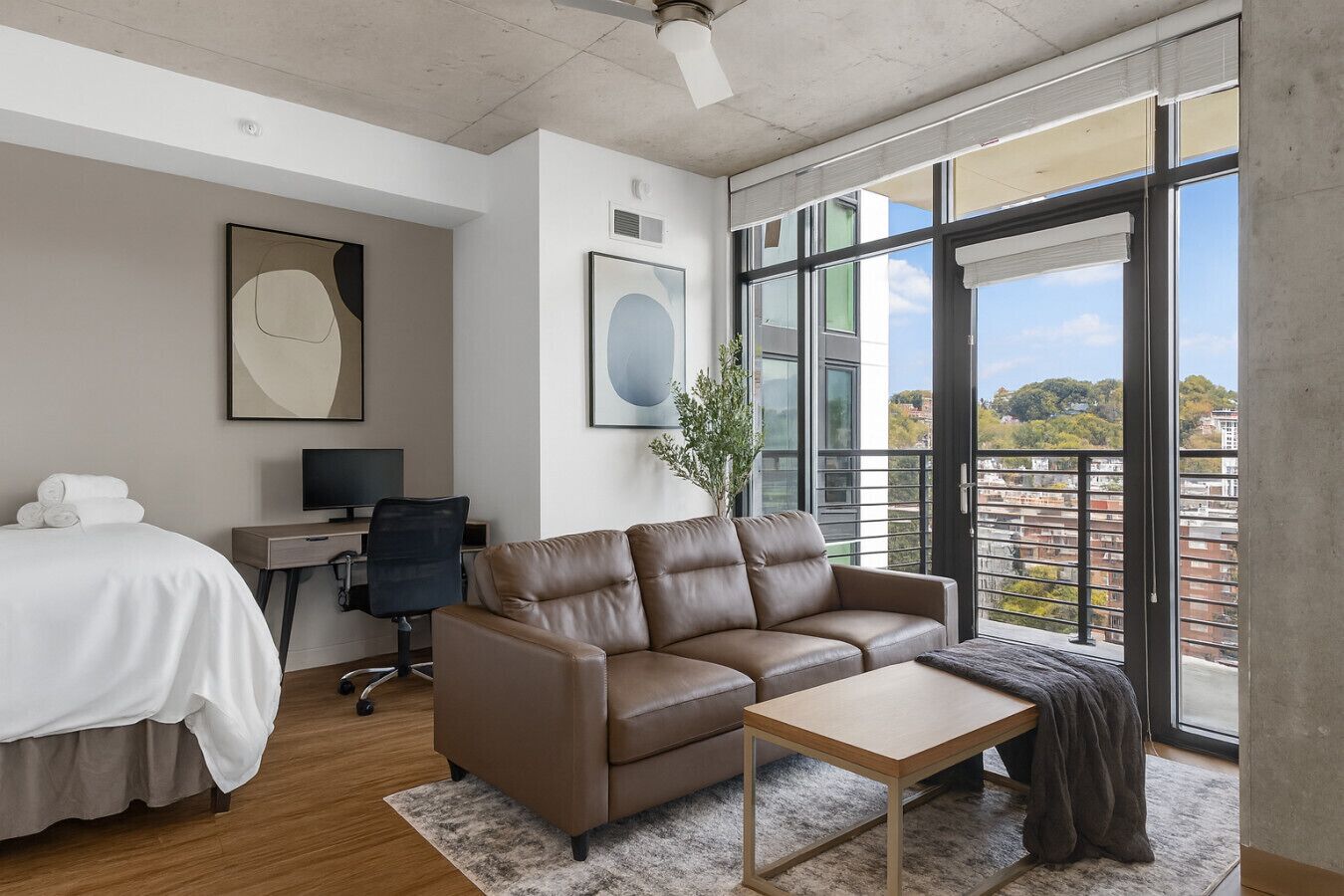 Televisión y monitor de computadora 