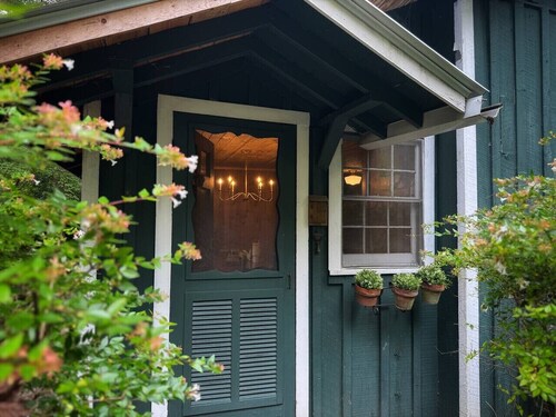 Heart Pine Lodge | 1908 Cabin, Firepit, Pets