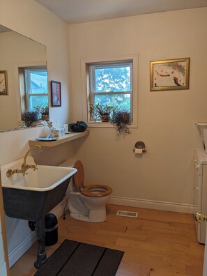 Hair dryer, towels, soap, toilet paper