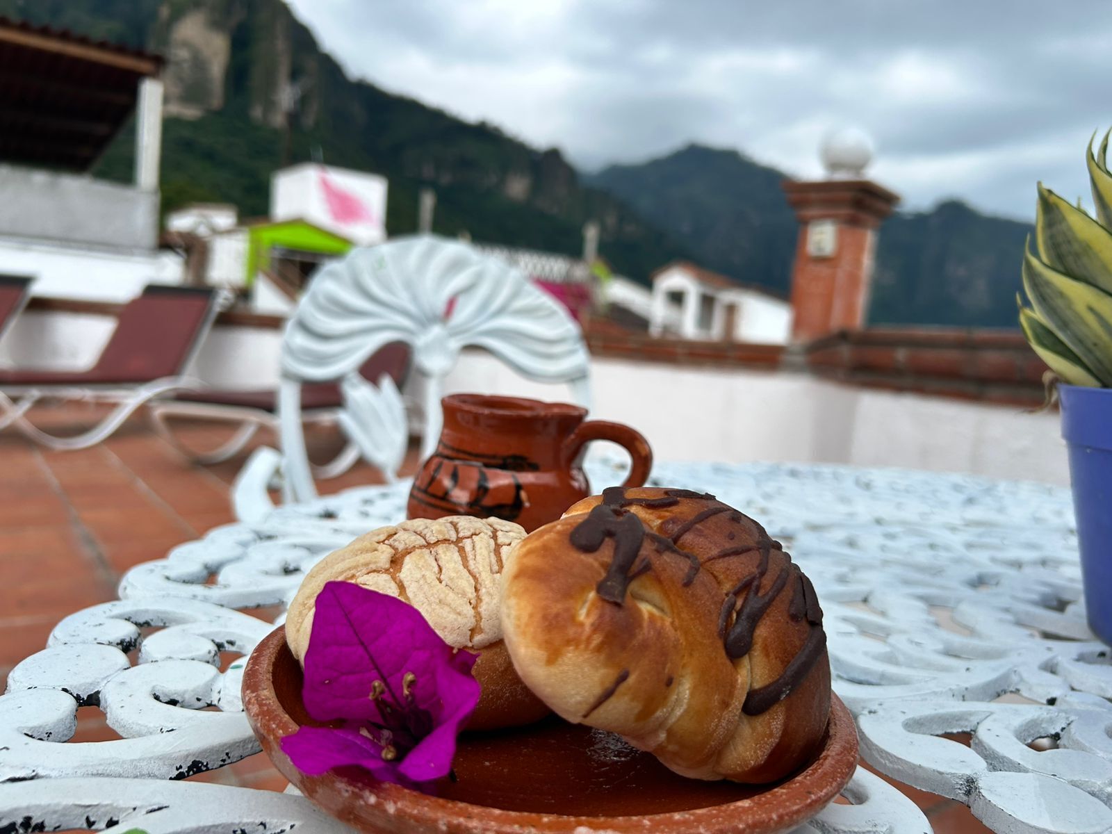 Vistas desde la habitación