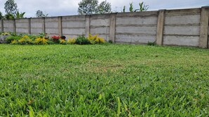 Une zone herbeuse avec un mur en béton et quelques plantes en arrière-plan.