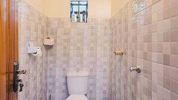 Douche, serviettes fournies, savon, papier toilette