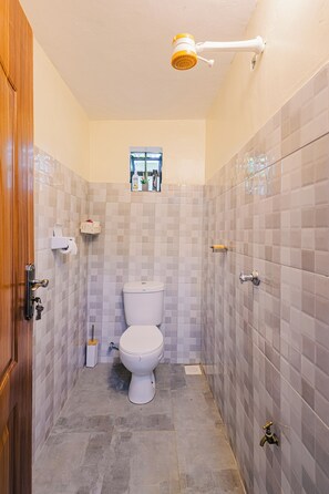 Shower, towels, soap, toilet paper