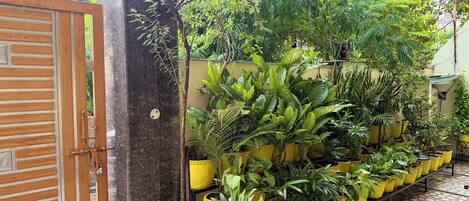 Enceinte de l’hébergement