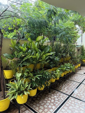 Property grounds - Madhuraj Villa Homestay (Varanasi)