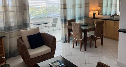 Newly renovated 1 Bedroom / 1 Bathroom Apartment