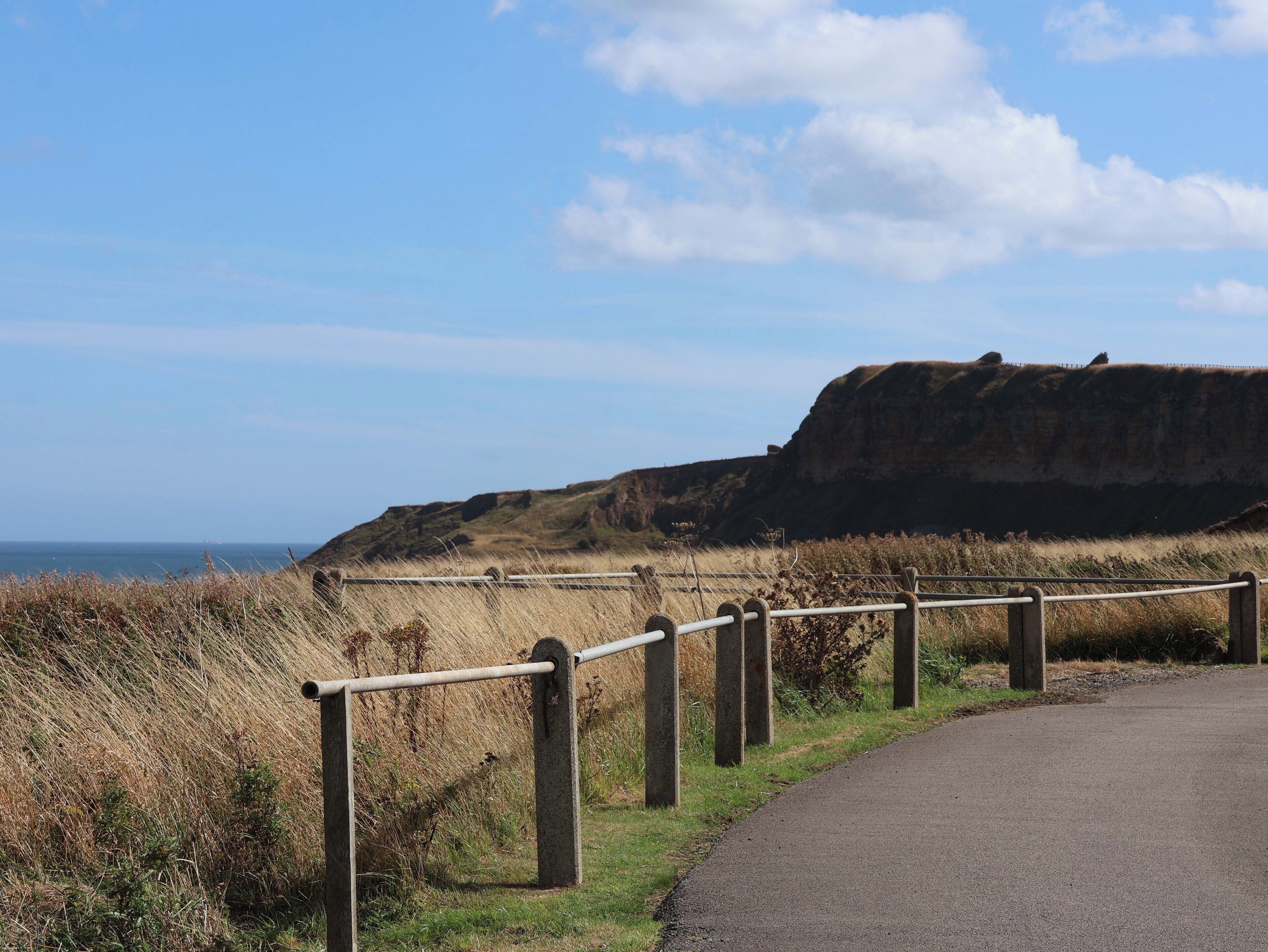 A coastal road with a guardrail, grassy areas, and a cliff in the background.