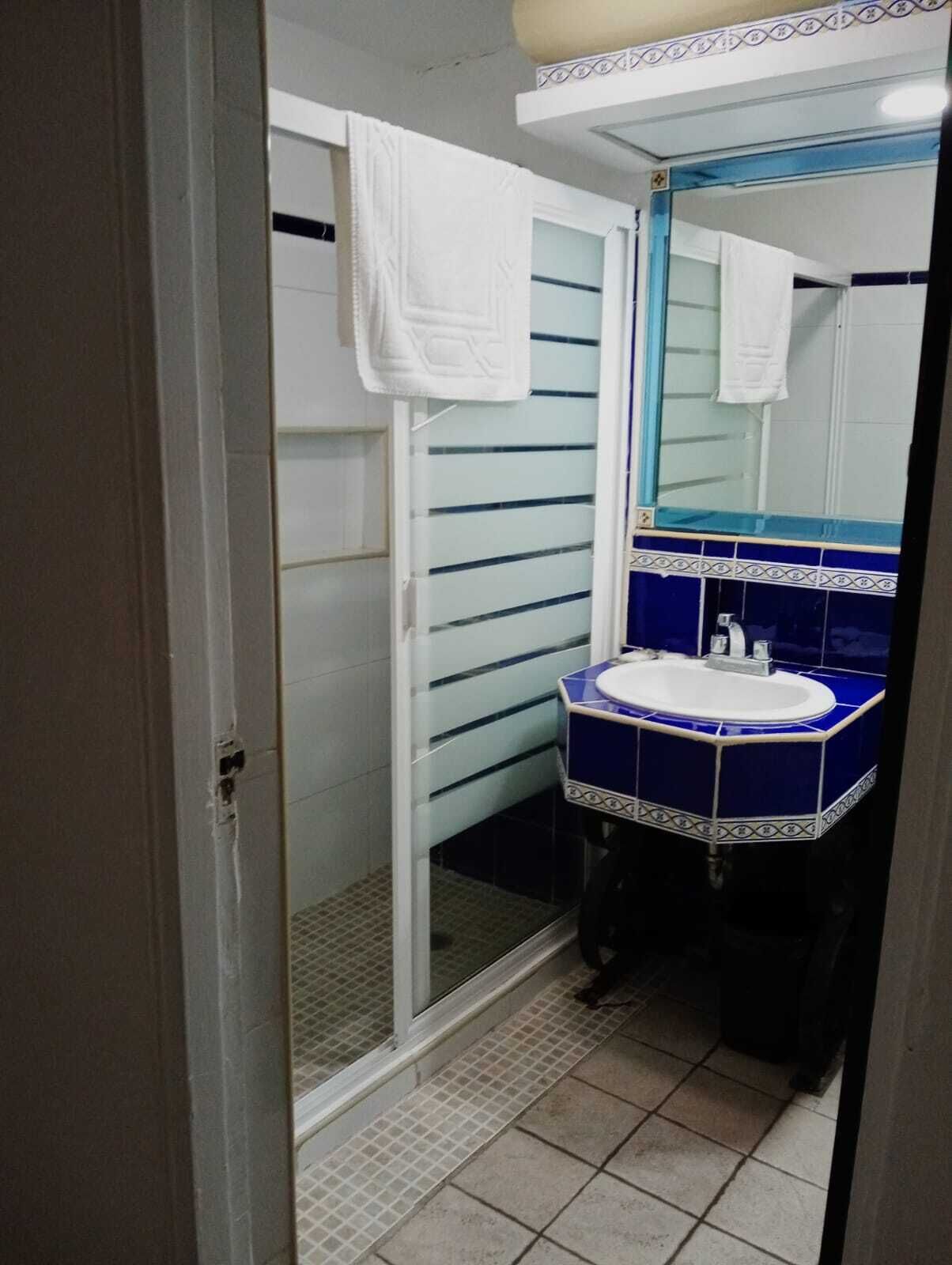 A bathroom with a shower, a sink, and a mirror.