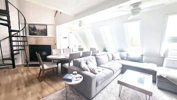 Smart TV, fireplace, DVD player, books