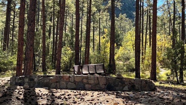 Un banco de piedra en un área boscosa con árboles altos y un cielo despejado.