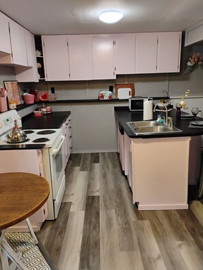 Microwave, oven, stovetop, dishwasher