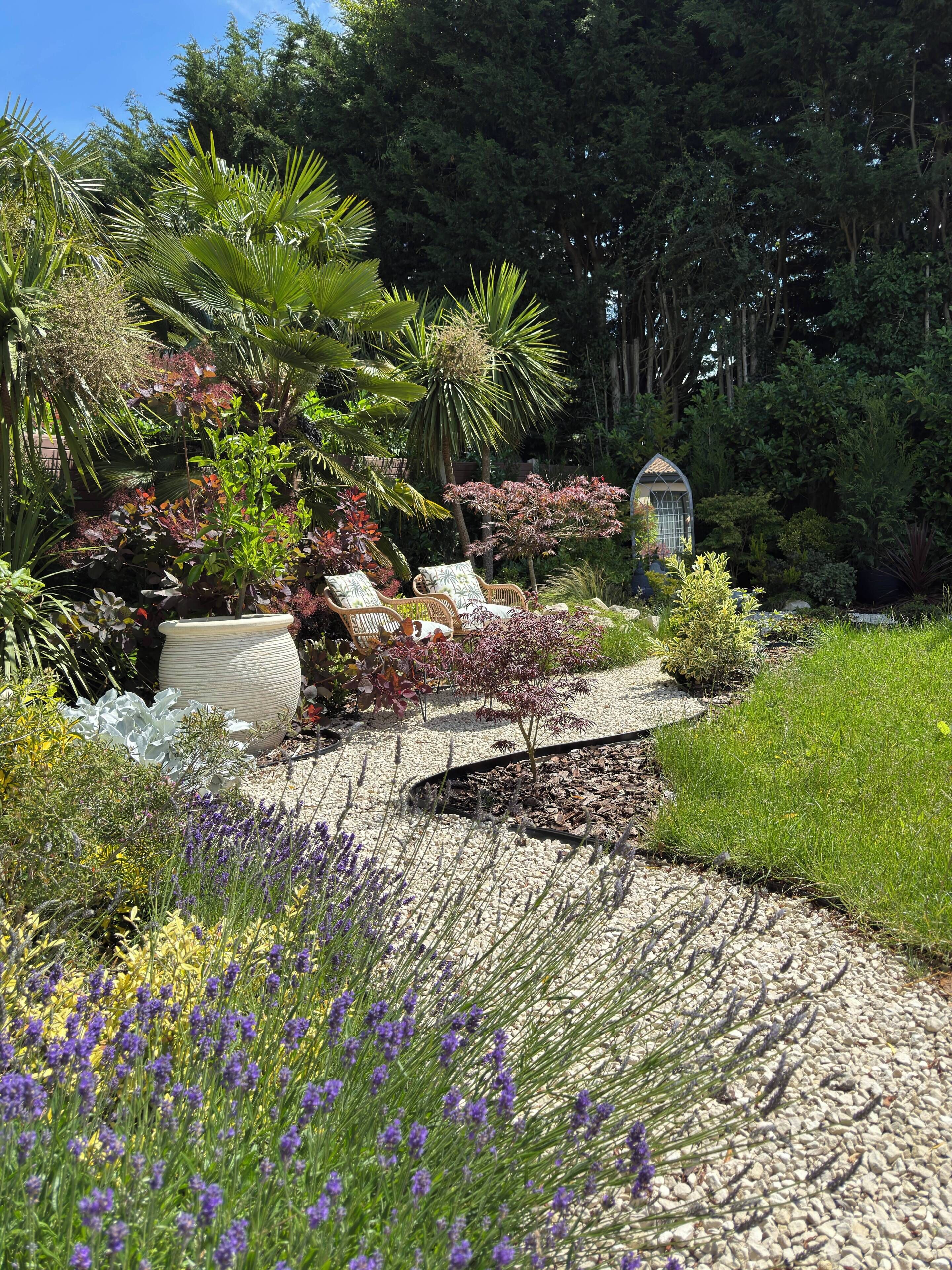 A garden with a pathway, various plants, and a small structure.