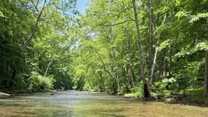 A clear river surrounded by dense green trees. - Charming 1-bedroom cottage in Covington with AC (Covington)