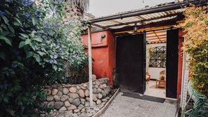Un patio con un sendero de piedra que lleva a una puerta negra, rodeado de vegetación exuberante y un muro rojo.