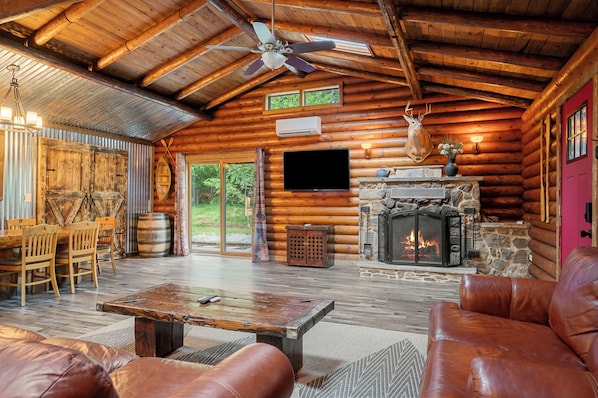 TV, fireplace