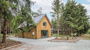 Una cabaña de madera con techo inclinado, rodeada de un bosque.