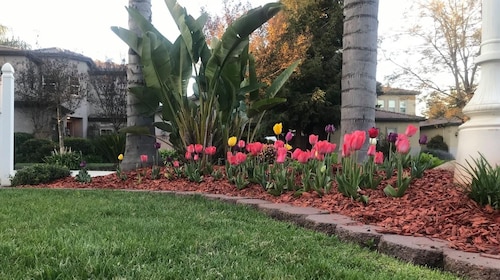 Private room for rent --Ideal for working professionals--