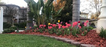 Private room for rent --Ideal for working professionals--