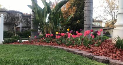 Private room for rent --Ideal for working professionals--