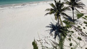 A beach with white sand and clear blue water. There are palm trees and a clear sky. - Don Pedro Island: Canal w. dock and 5-Min to Beach (Englewood)