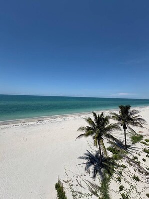 Beach nearby - Don Pedro Island: Canal w. dock and 5-Min to Beach (Englewood)