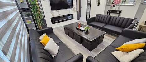 TV, fireplace