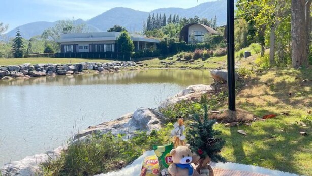 Une vue sur le lac avec un chalet, un coin pique-nique agrémenté d’un ours en peluche et un sac de chips.