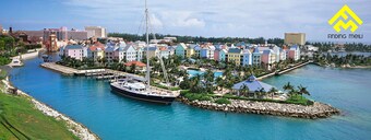 𝐅𝐢𝐧𝐝𝐢𝐧𝐠 𝐌𝐞𝐢𝐥𝐢-Ultimate Bahamian Adventure at Harborside Resort! 1BR