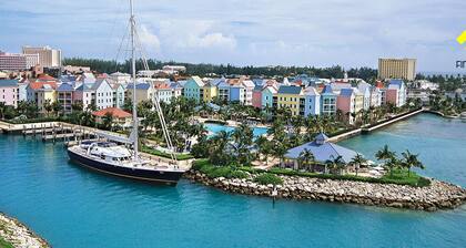 đ
đąđ§đđąđ§đ đđđąđ„đą-Ultimate Bahamian Adventure at Harborside Resort! 1BR