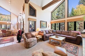 TV, fireplace, books